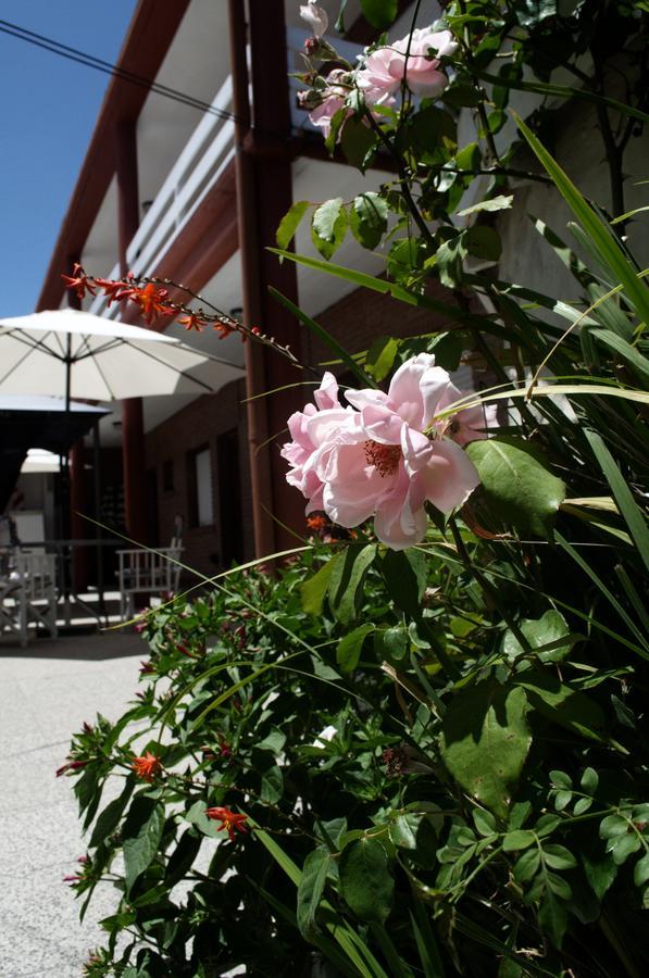 Hosteria Robert Villa Gesell Esterno foto